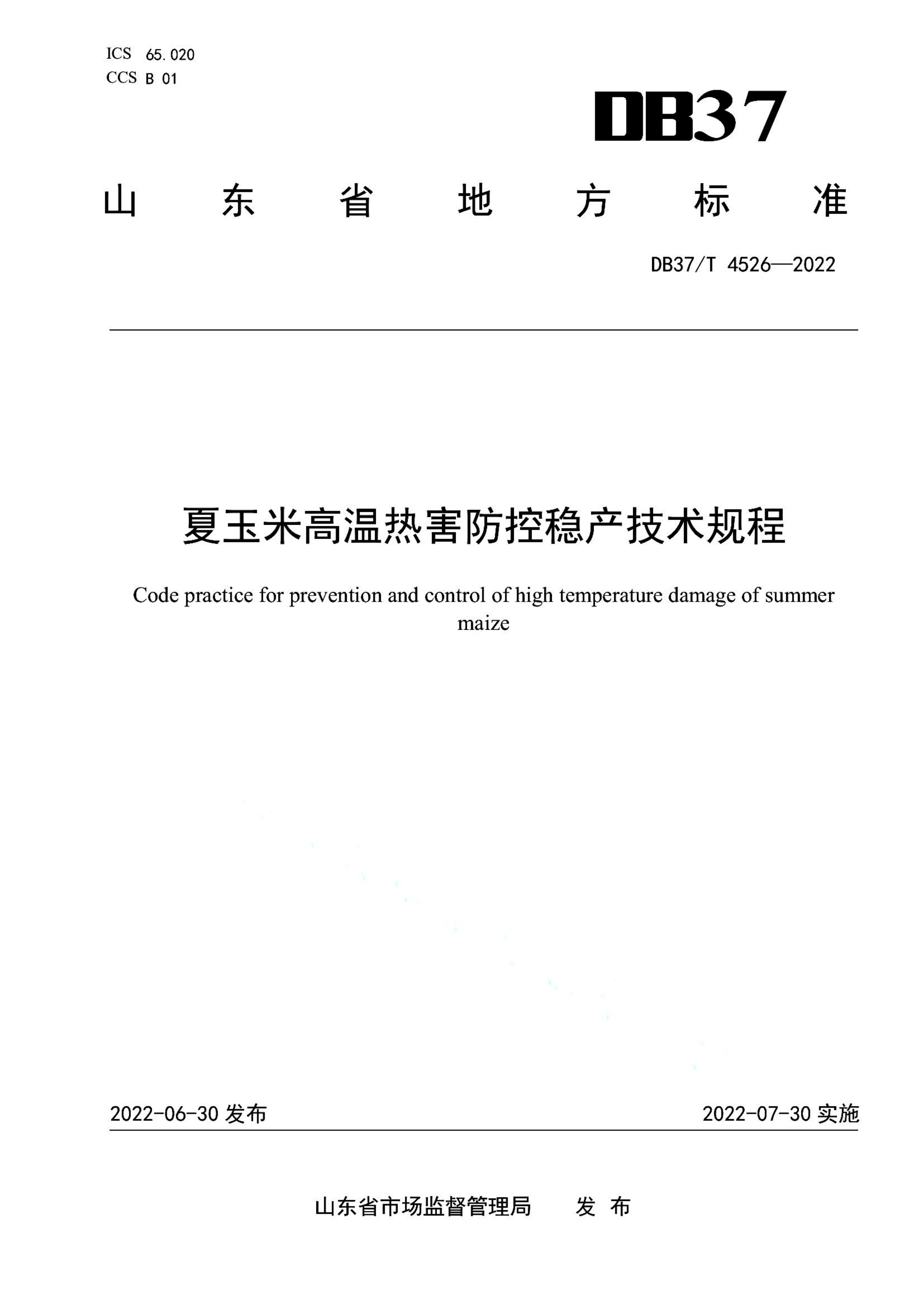 资源详情图